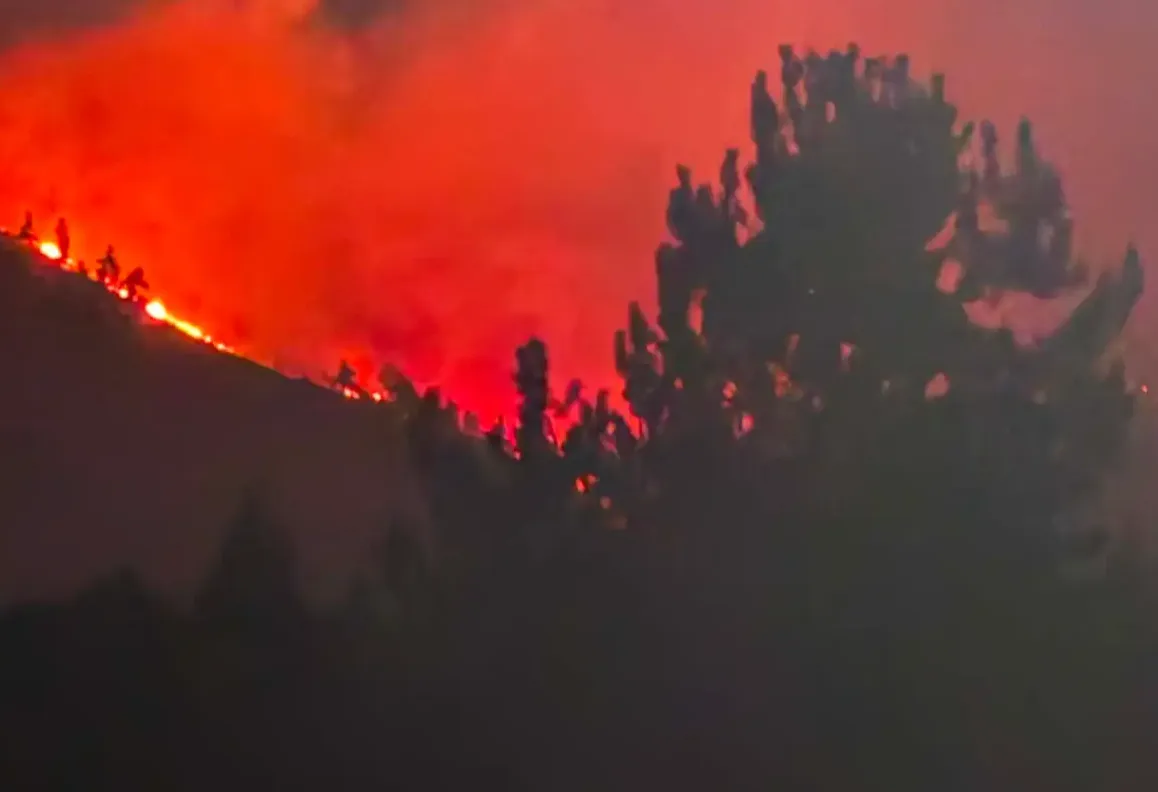 Nevada, l’incendio Hawk devasta l’area di Reno: oltre 10.500 acri bruciati e migliaia di persone evacuate