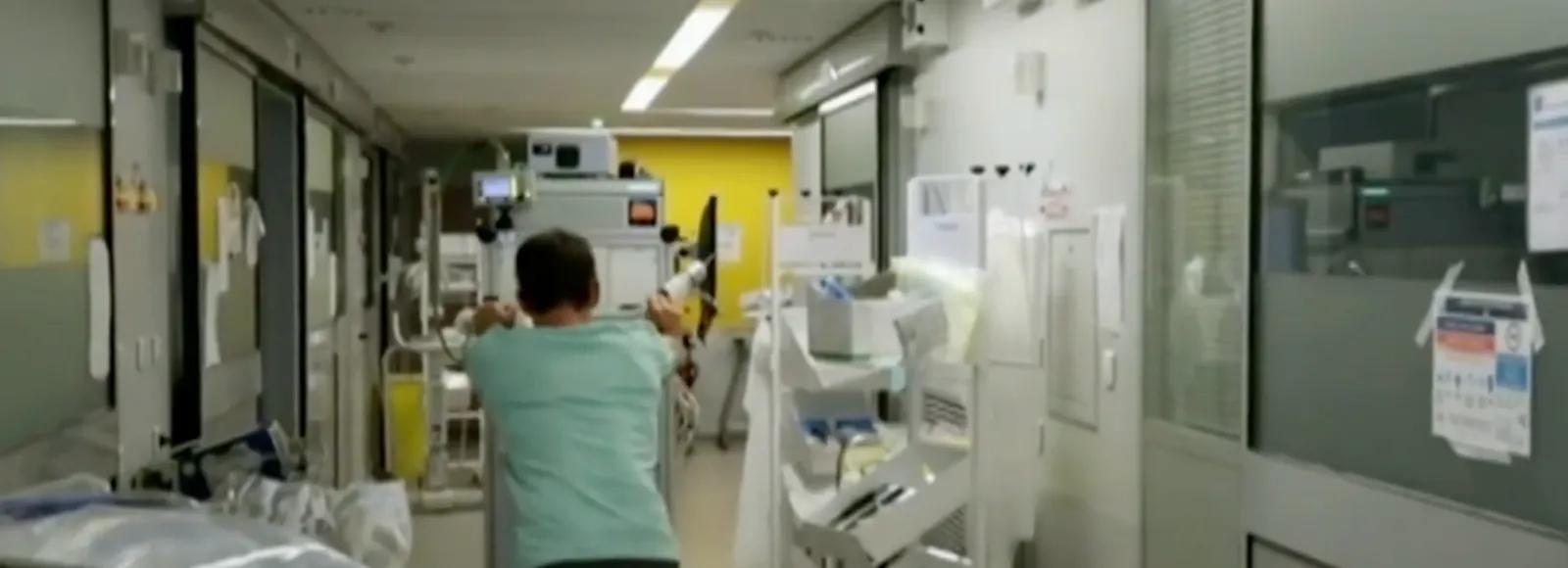 FRANCIA, MUORE UN UOMO CONTAGIATO DAL VIRUS SHAMONDA: PRIMO CASO UMANO DOCUMENTATO